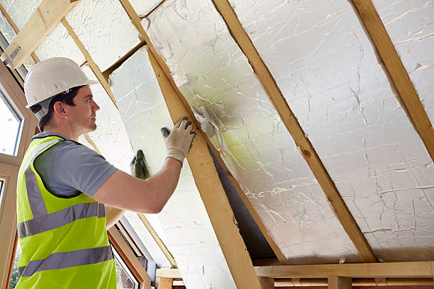 Best Insulation for New Construction  in Walcott, IA